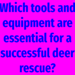 Which tools and equipment are essential for a successful deer rescue?