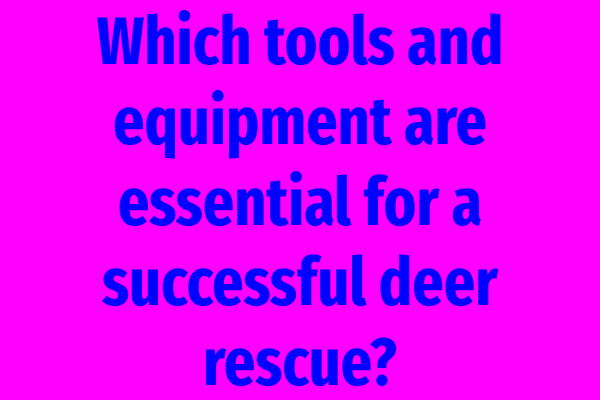 Which tools and equipment are essential for a successful deer rescue?