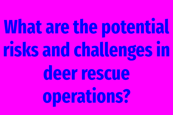 What are the potential risks and challenges in deer rescue operations?