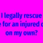 Can I legally rescue and care for an injured deer on my own?