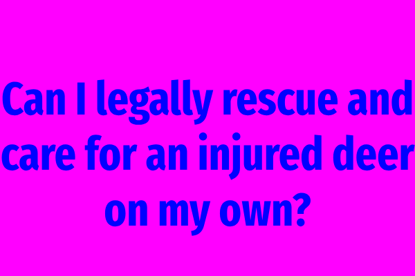 Can I legally rescue and care for an injured deer on my own?
