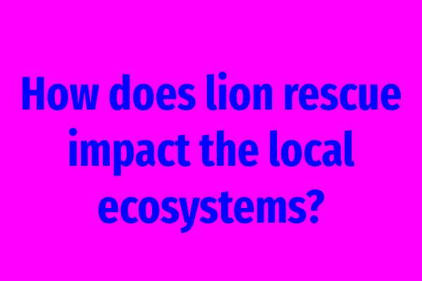 How does lion rescue impact the local ecosystems?