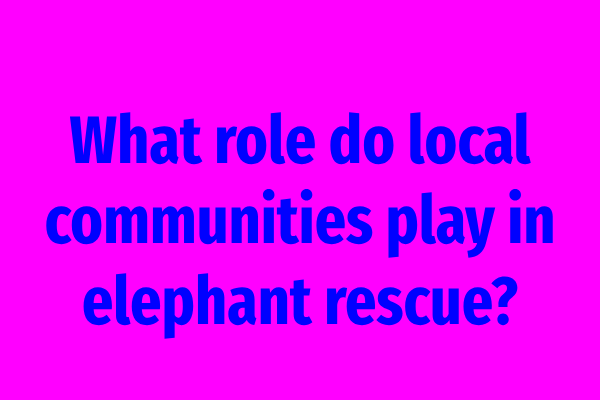 What role do local communities play in elephant rescue?