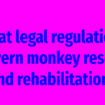 What legal regulations govern monkey rescue and rehabilitation?