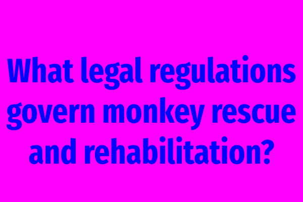 What legal regulations govern monkey rescue and rehabilitation?