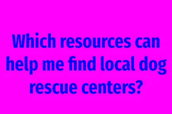 Which resources can help me find local dog rescue centers?