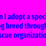 Can I adopt a specific dog breed through a rescue organization?
