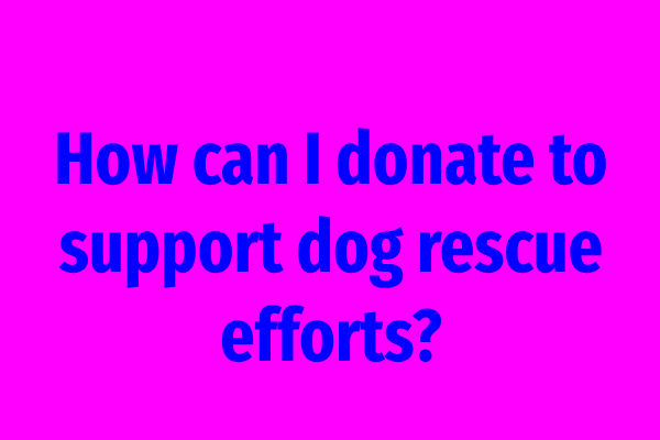 How can I donate to support dog rescue efforts?