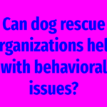 Can dog rescue organizations help with behavioral issues?