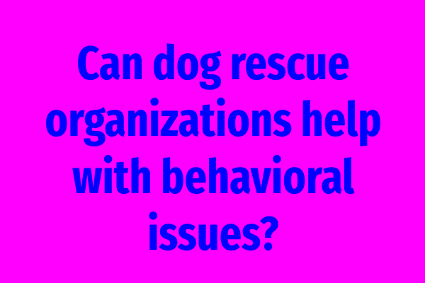 Can dog rescue organizations help with behavioral issues?