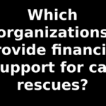 Which organizations provide financial support for cat rescues?