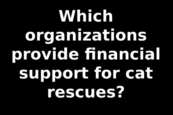 Which organizations provide financial support for cat rescues?