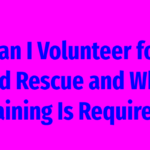 Can I Volunteer for Bird Rescue and What Training Is Required?