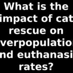 What is the impact of cat rescue on overpopulation and euthanasia rates?
