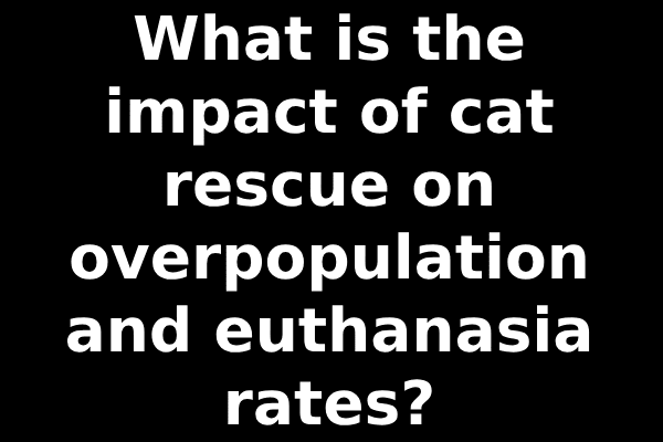 What is the impact of cat rescue on overpopulation and euthanasia rates?