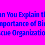 Can You Explain the Importance of Bird Rescue Organizations?