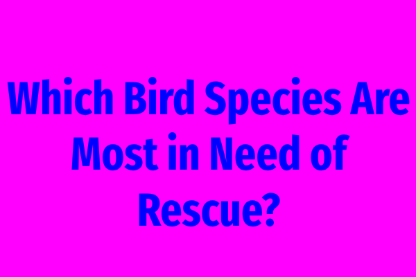 Which Bird Species Are Most in Need of Rescue?