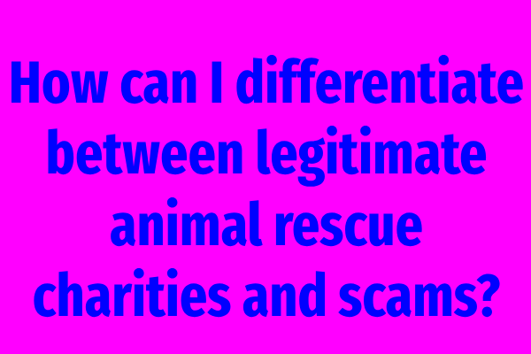 How can I differentiate between legitimate animal rescue charities and scams?