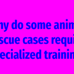 Why do some animal rescue cases require specialized training?