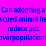 Can adopting a rescued animal help reduce pet overpopulation?