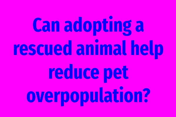 Can adopting a rescued animal help reduce pet overpopulation?