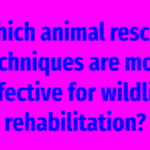 Which animal rescue techniques are most effective for wildlife rehabilitation?
