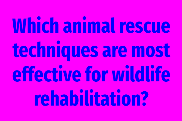 Which animal rescue techniques are most effective for wildlife rehabilitation?