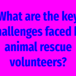 What are the key challenges faced by animal rescue volunteers?