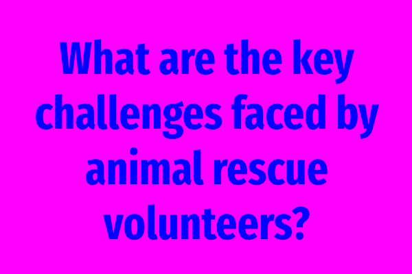 What are the key challenges faced by animal rescue volunteers?